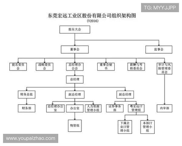 亚星锚链股吧：股东大会信息披露与公司治理结构解析